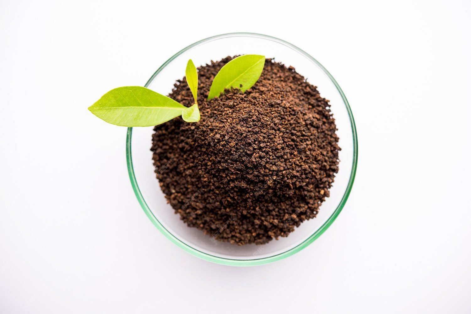 Premium Curated Tea